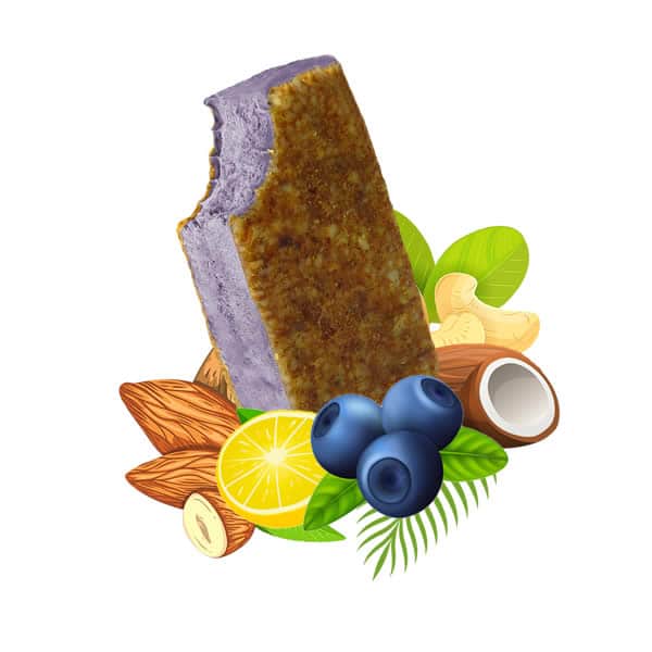 blueberry-1
